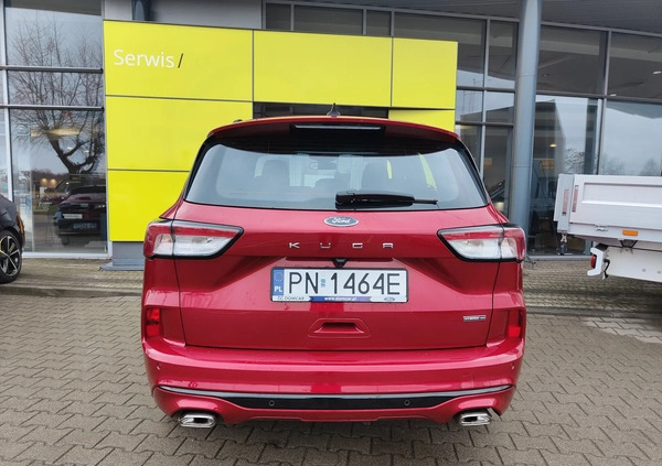 Ford Kuga cena 165900 przebieg: 10, rok produkcji 2022 z Poznań małe 137